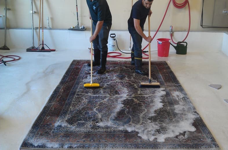 #1 Rug Cleaning Service In Your Area #1 Rug Cleaning Service In Your Area